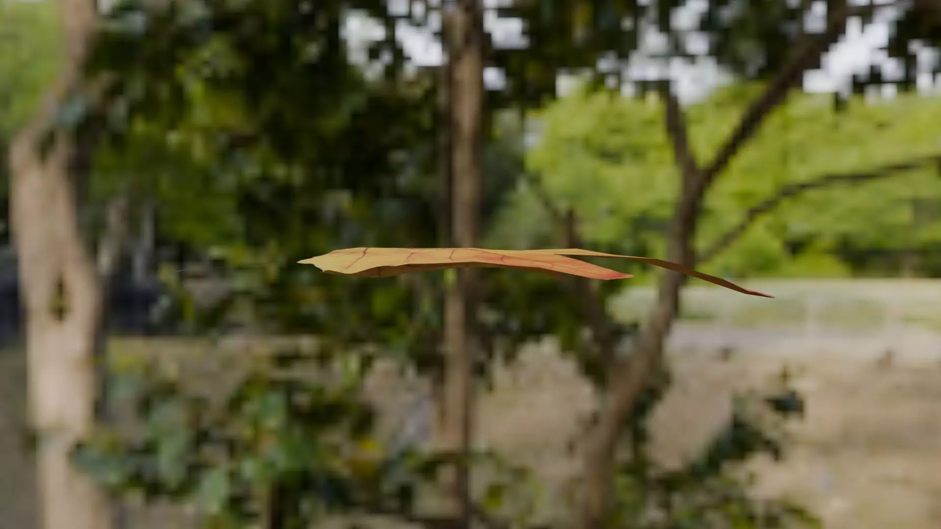 Leaf - 3D Model Low-poly 3D model_4