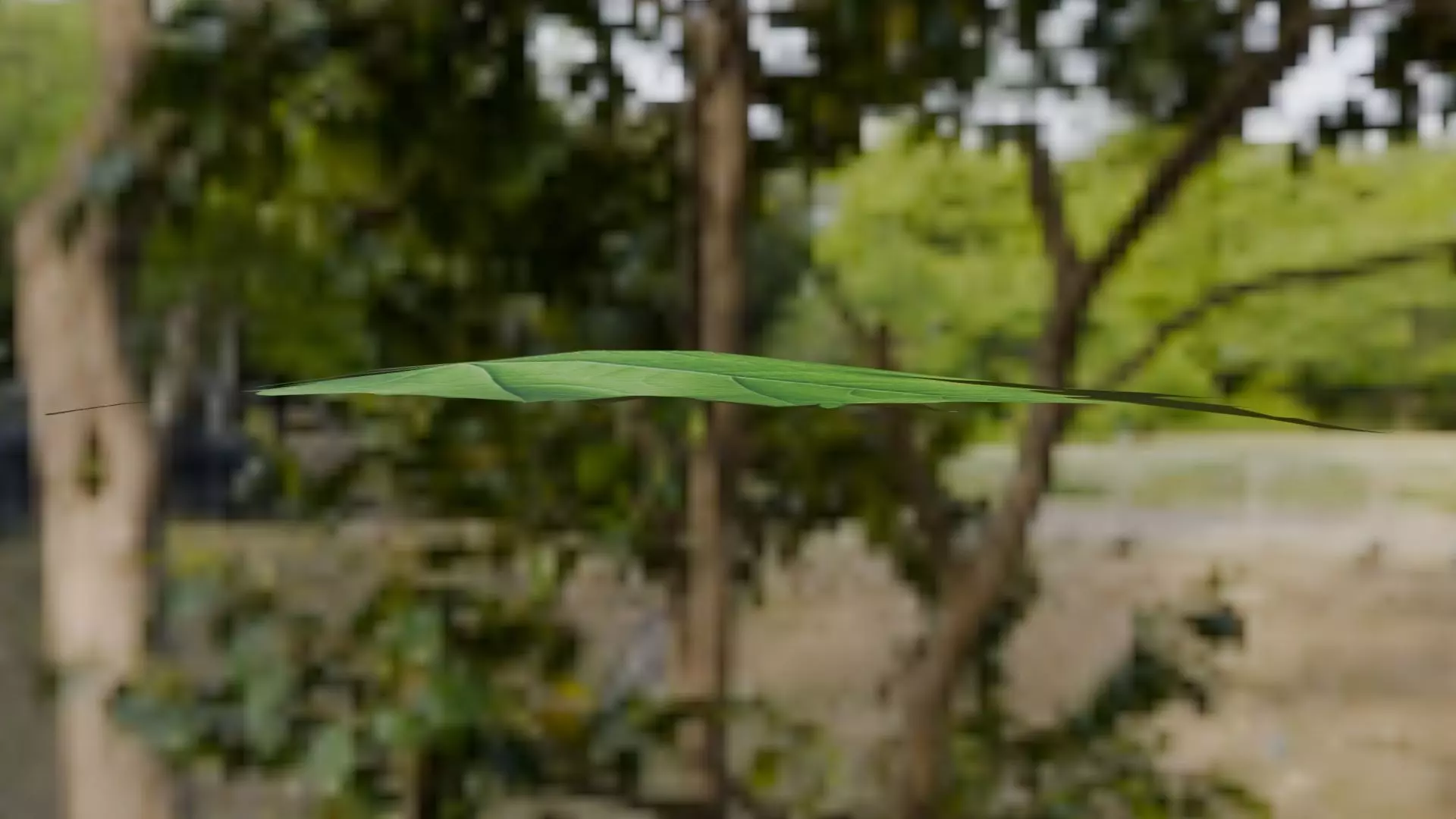 Leaf - 3D Model Low-poly 3D model_24