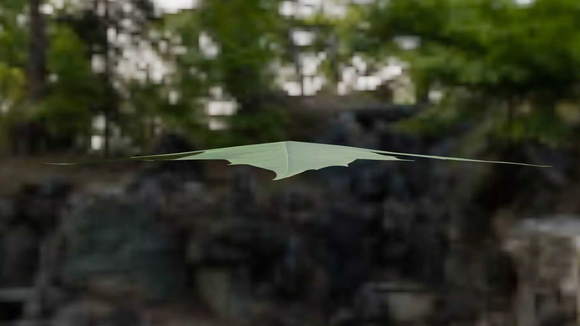 Leaf - 3D Model Low-poly 3D model_23