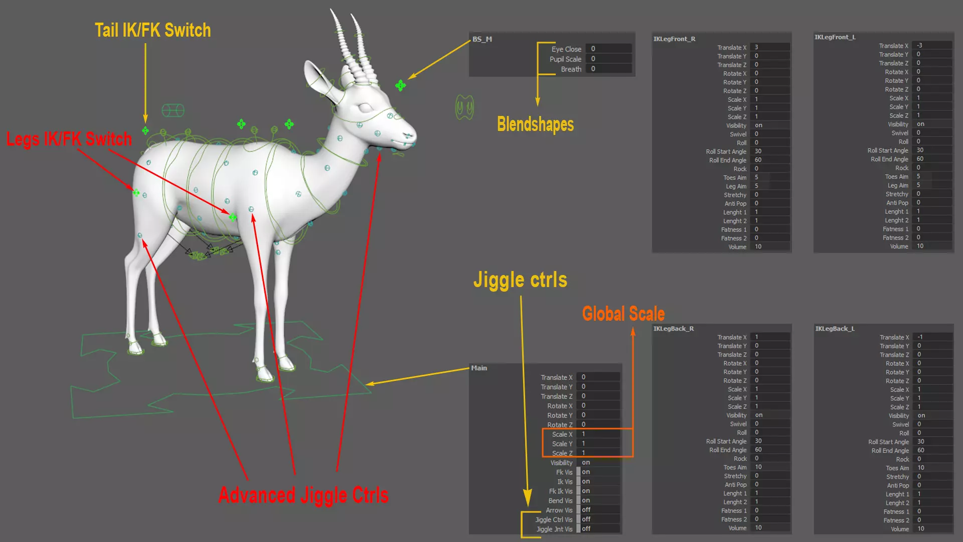 Gazelle Xgen Rigged 3D model_23