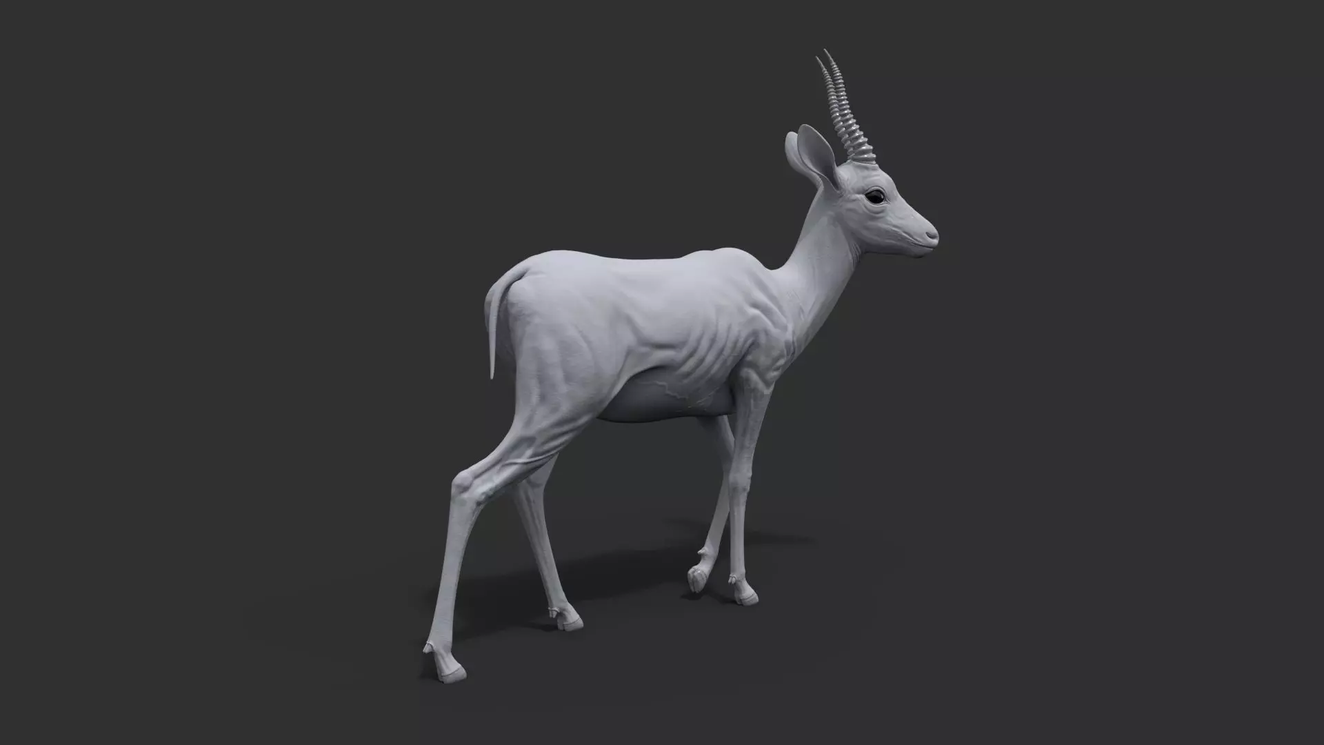 Gazelle Xgen Rigged 3D model_21