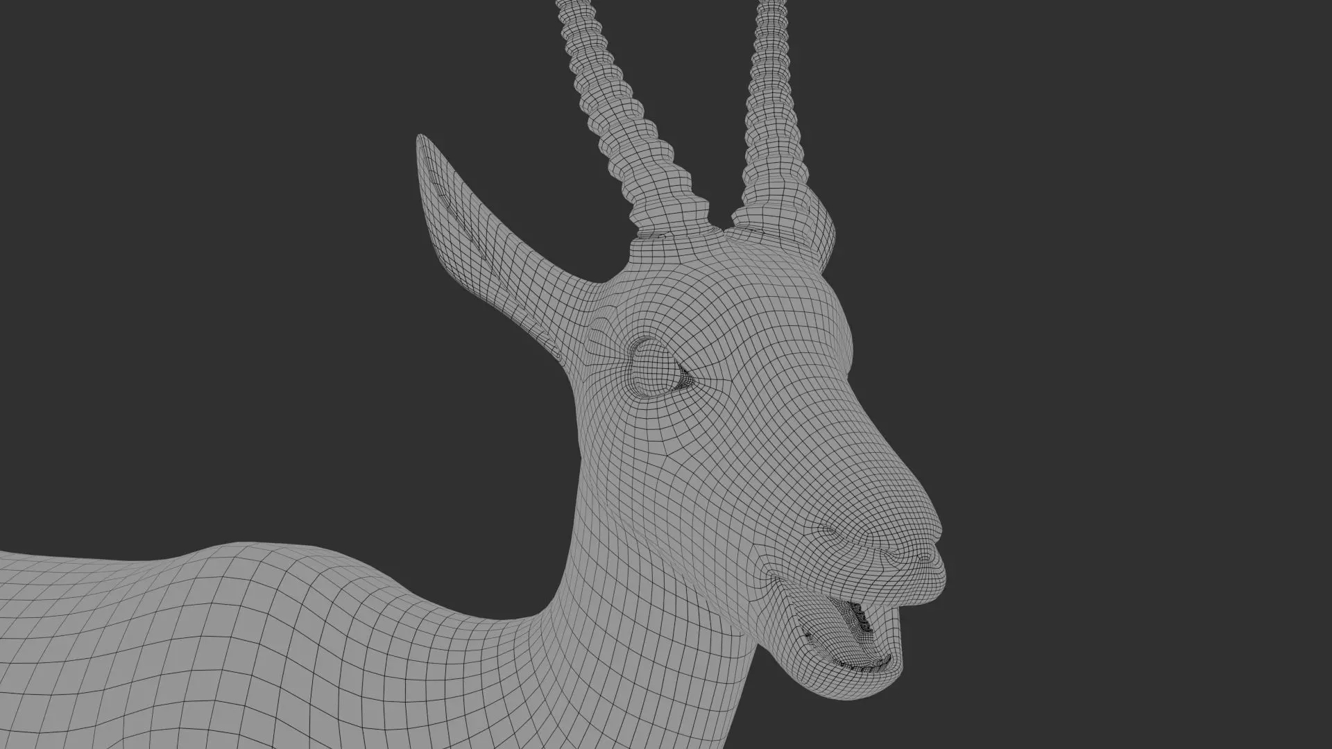 Gazelle Xgen Rigged 3D model_19