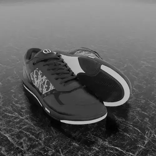 CHRISTIAN DIOR B28 UPTOWN LOW 3D SHOES