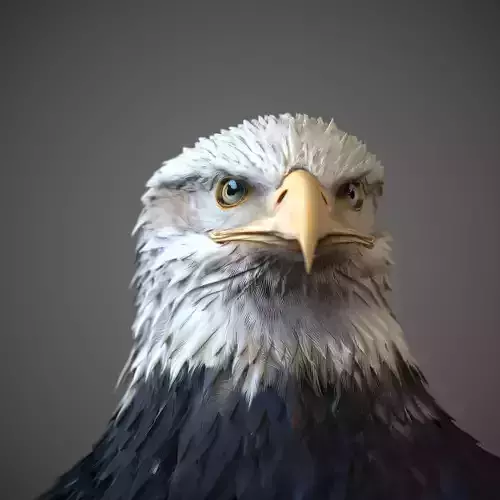 Eagle Head 3d sccaned HQ and LQ V1