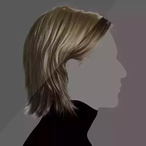 Knight Male Hairstyle XGen maya scene 3D model and FBX