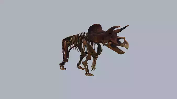 Animated Prehistoric Skeleton Creature 3D Model