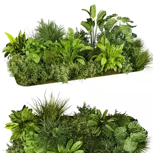 Collection plant vol 674 - banana - garden 