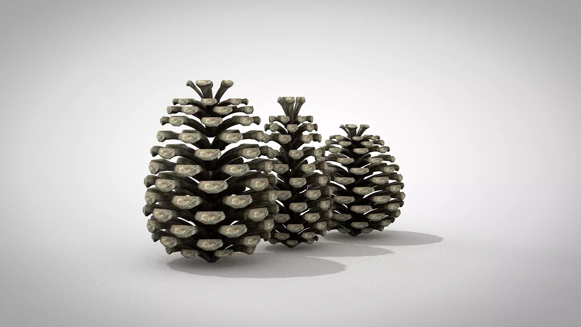 Christmas Pine Cone 3D Model 3D model_2