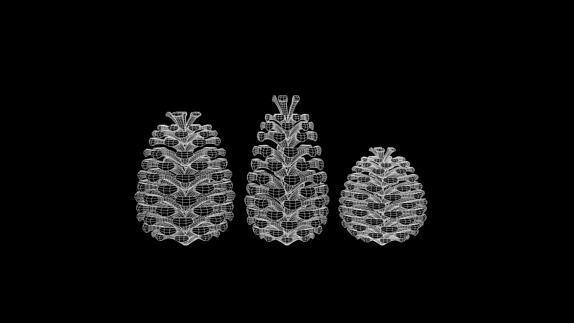 Christmas Pine Cone 3D Model 3D model_14