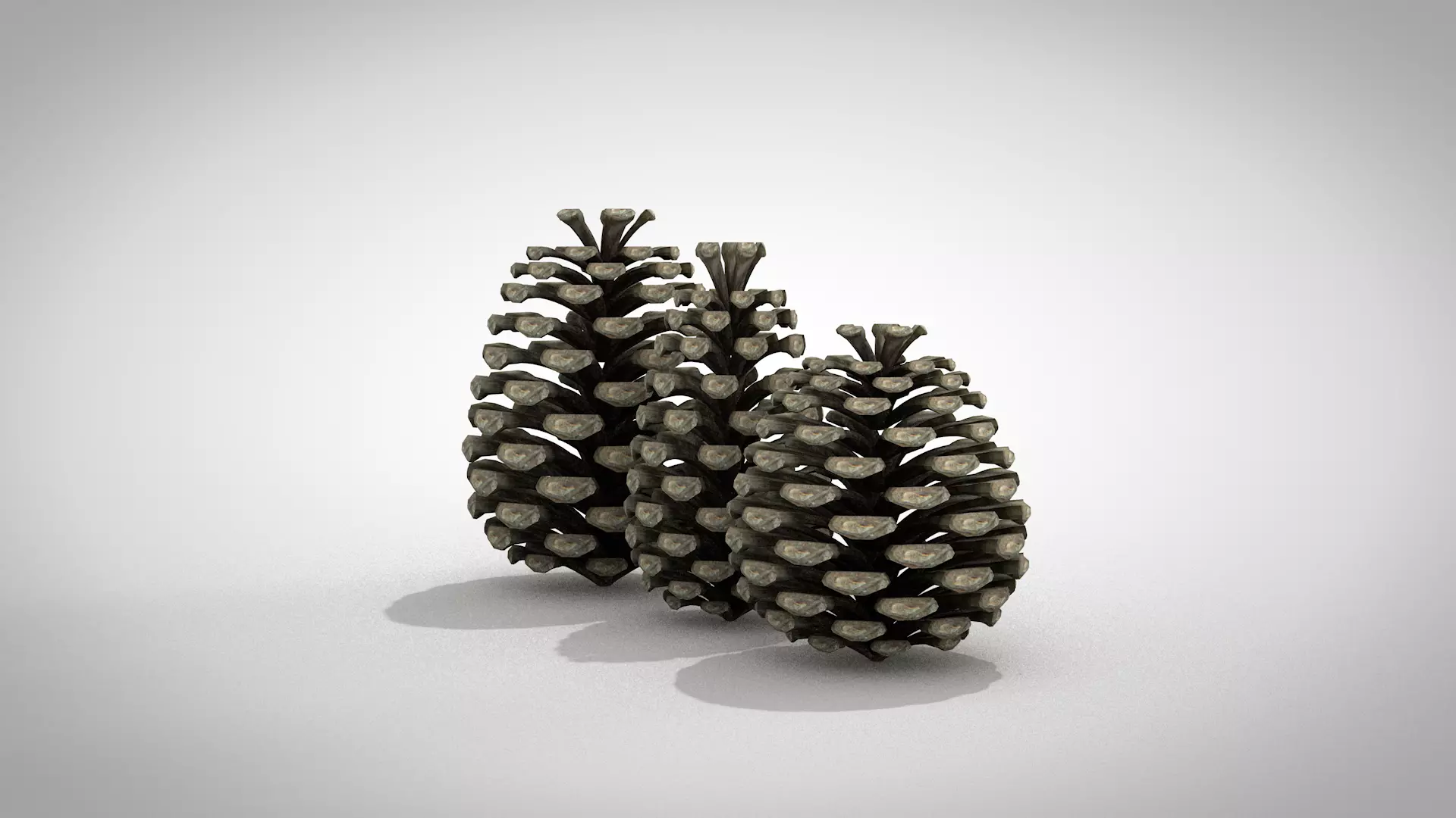 Christmas Pine Cone 3D Model 3D model_4