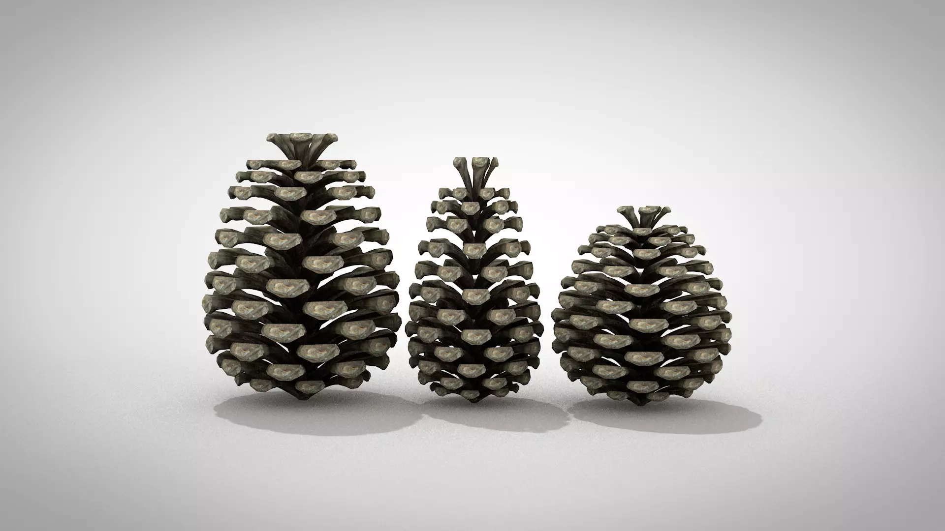 Christmas Pine Cone 3D Model 3D model_3
