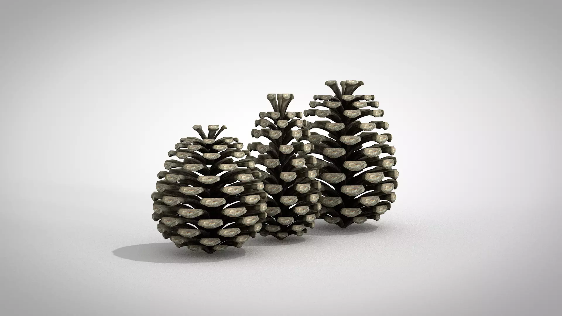 Christmas Pine Cone 3D Model 3D model_5