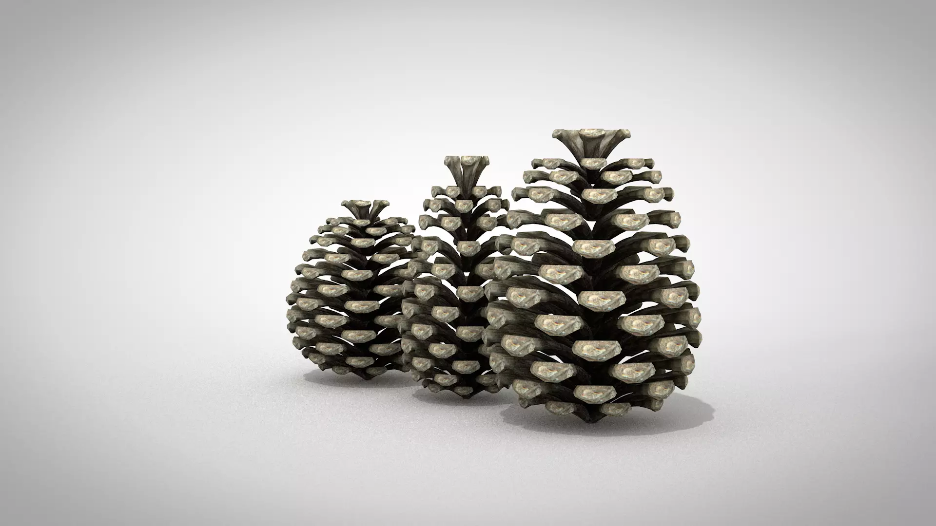 Christmas Pine Cone 3D Model 3D model_1