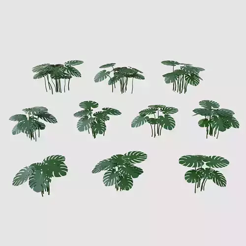 Monstera Bush With LODs