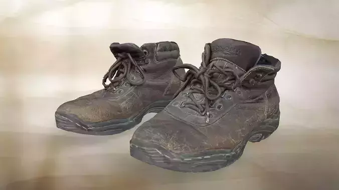 A pair of used Mountaineering shoes035
