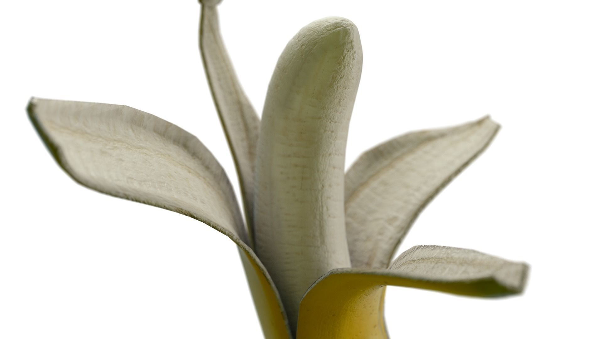 opened banana 3D model_4