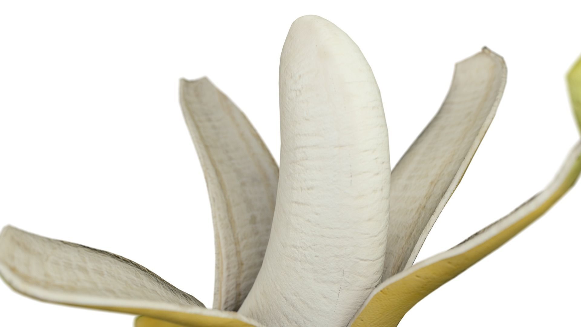 opened banana 3D model_5