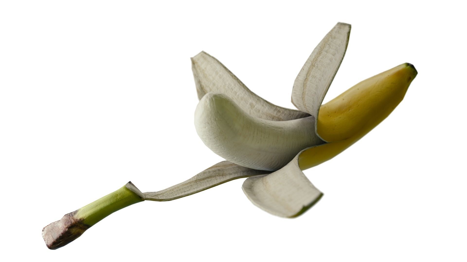 opened banana 3D model_2