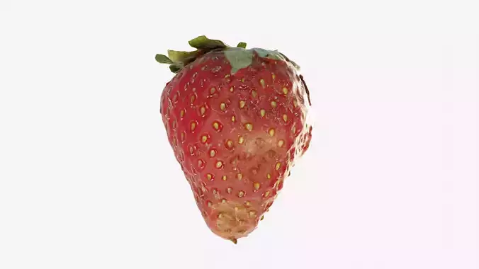 Scanned Strawberry Berry Low-poly 3D model 4