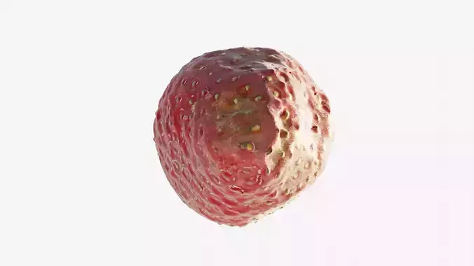 Scanned Strawberry Berry Low-poly 3D model 5