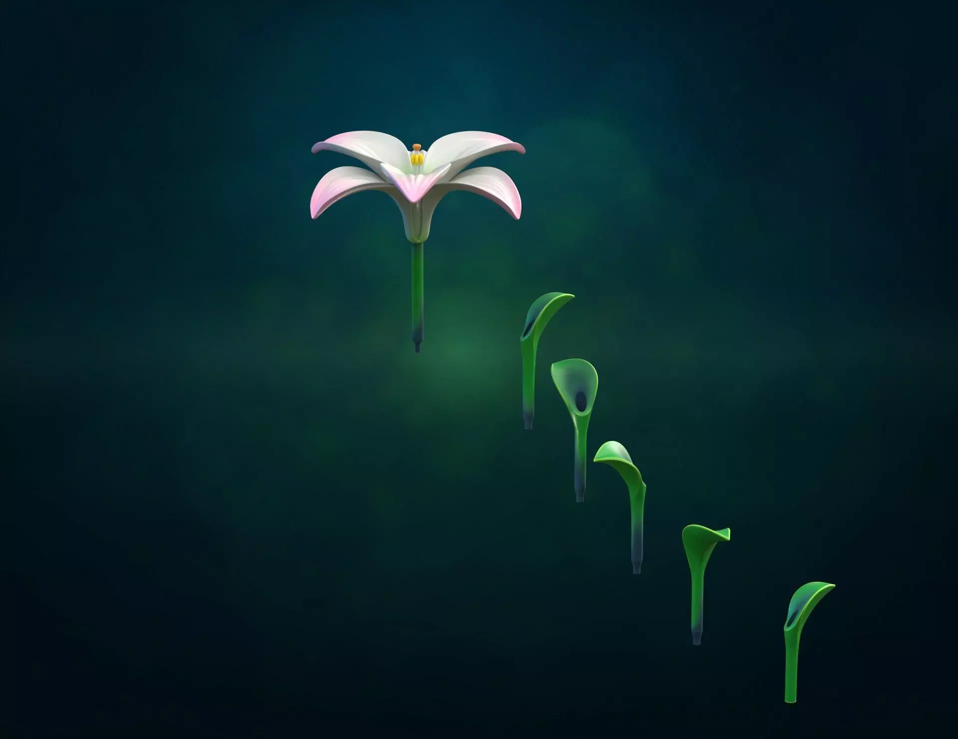 Lily II flower Assembly 3D print model_8