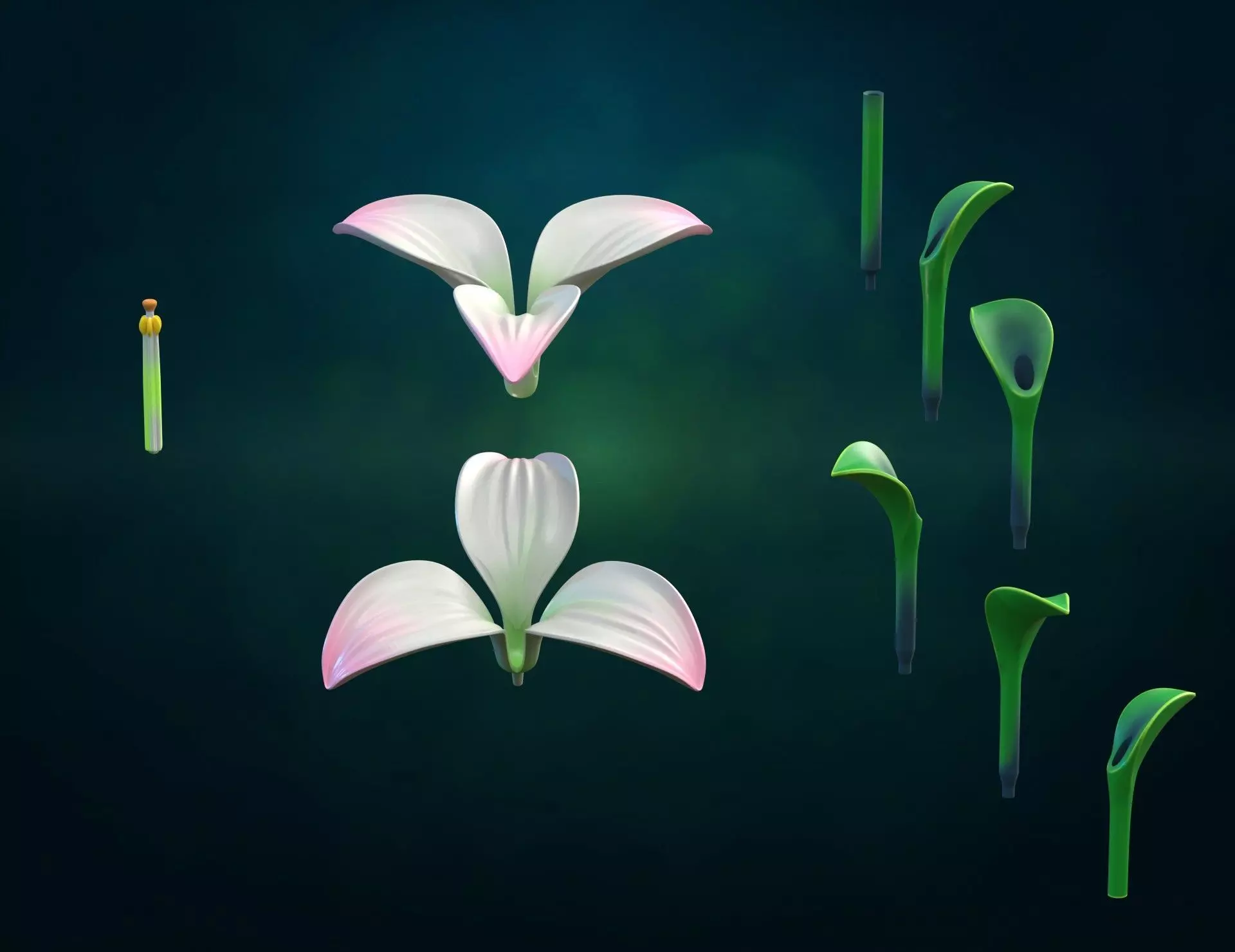 Lily II flower Assembly 3D print model_9