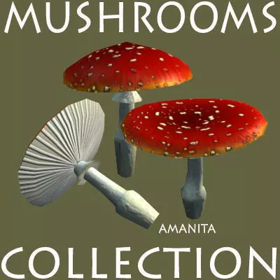 Forest mushrooms collection Free low-poly 3D model