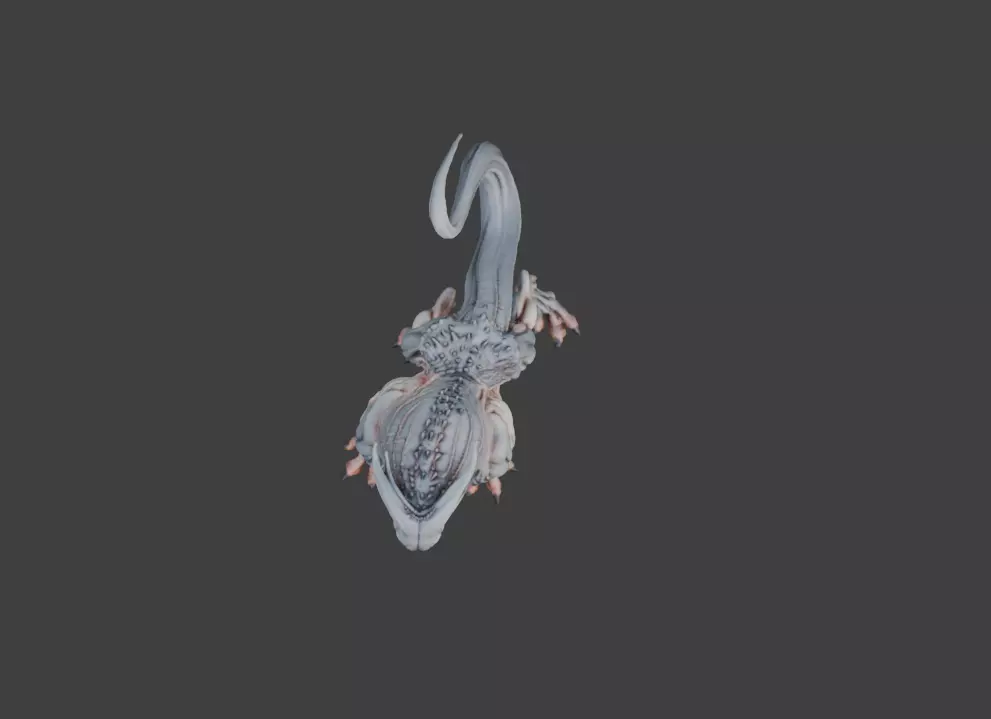 Spectral Beast Low-poly 3D model_15