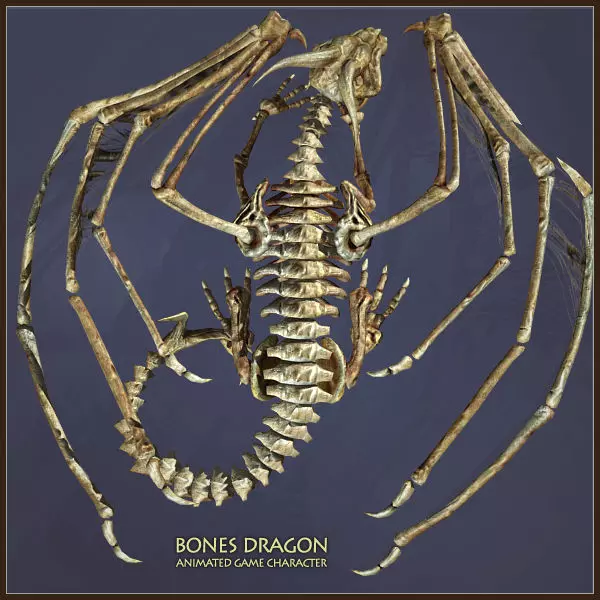 Bones Dragon Low-poly 3D model