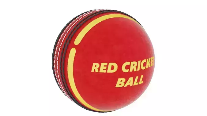 Cricket Ball