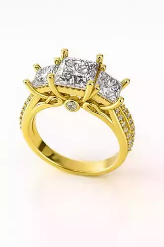 Ring Model 8172