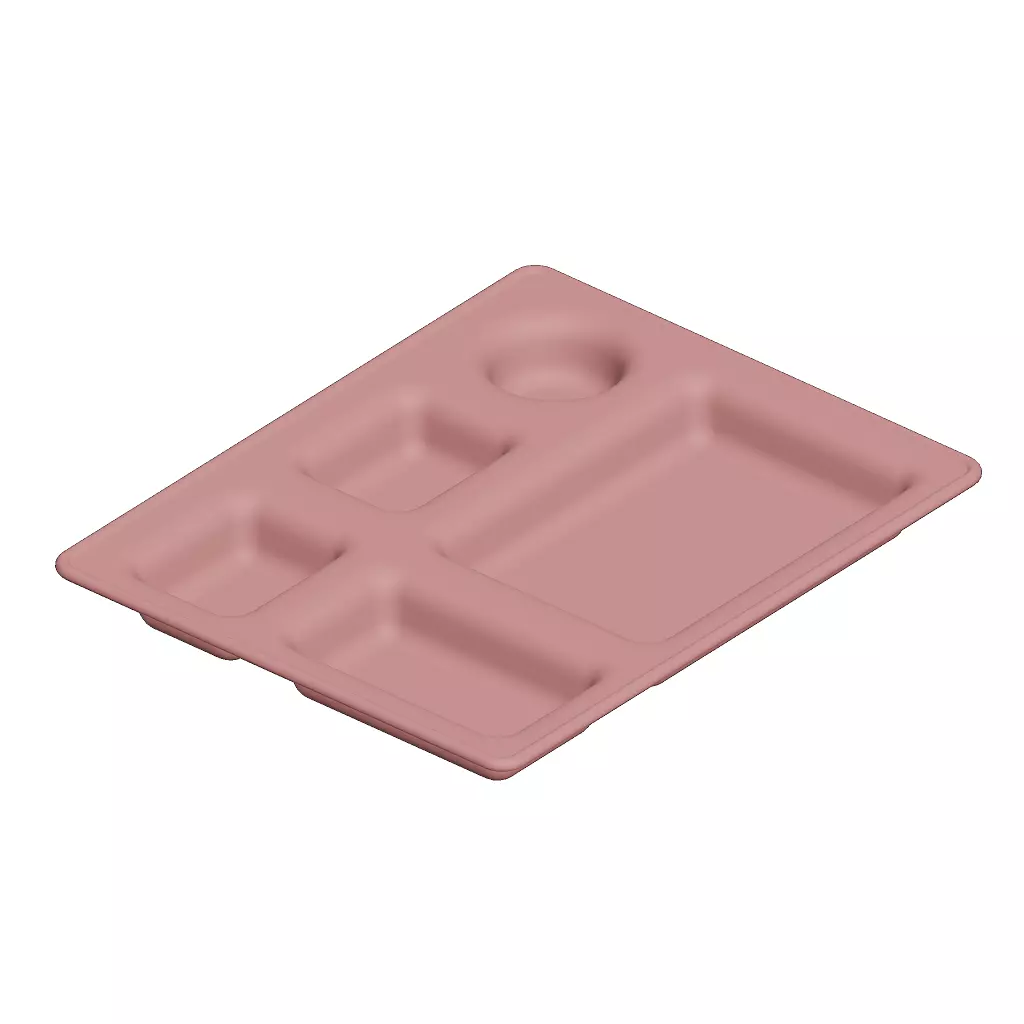 Plastic Elegant Compartment Dinner Plate 3D model_1