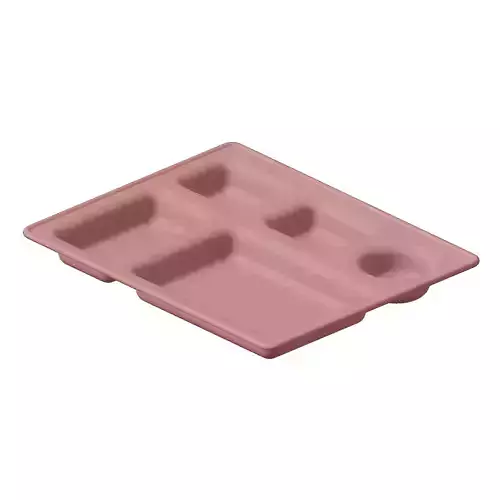 Plastic Elegant Compartment Dinner Plate