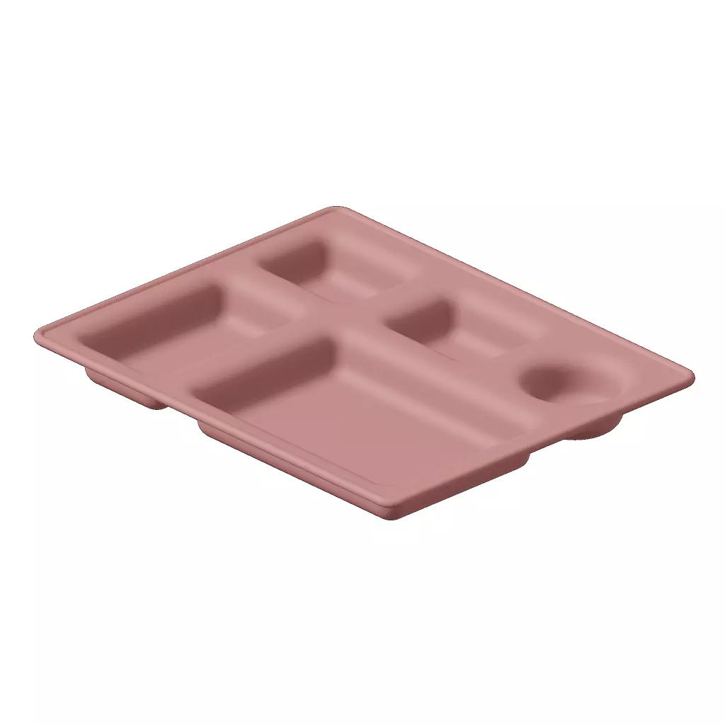 Plastic Elegant Compartment Dinner Plate 3D model_0