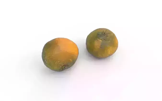 Tangerine M04 Low-poly 3D model 5