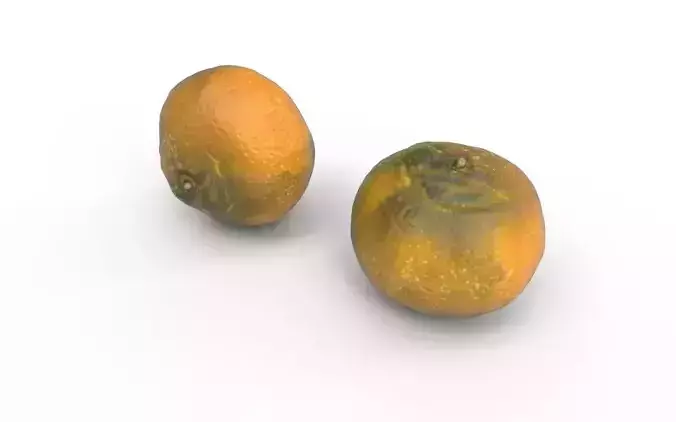 Tangerine M04 Low-poly 3D model 6