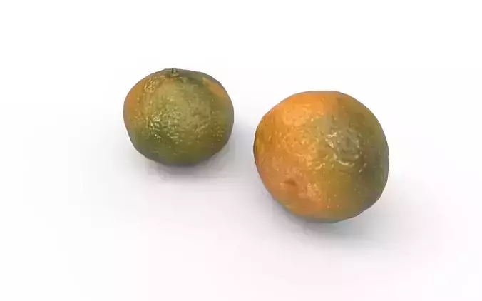 Tangerine M04 Low-poly 3D model 4