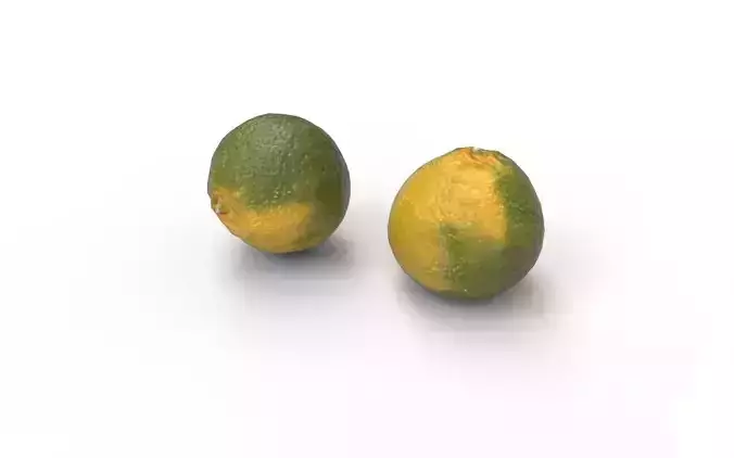 Tangerine M05 Low-poly 3D model 4