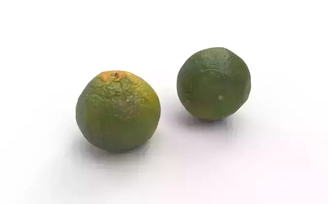 Tangerine M05 Low-poly 3D model 5