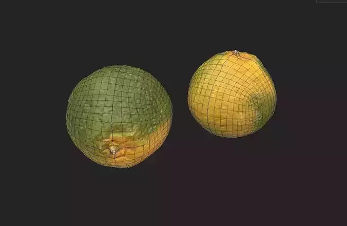 Tangerine M05 Low-poly 3D model 2