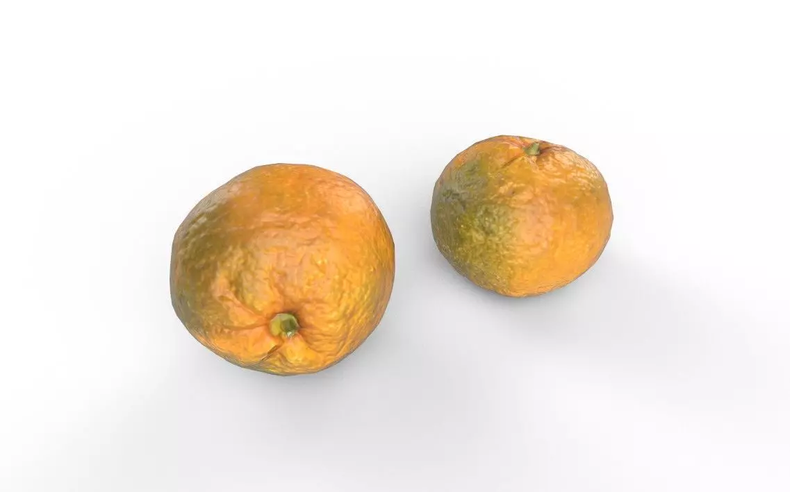 Tangerine M06 Low-poly 3D model_4