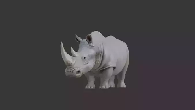 Rhino 3D scan print