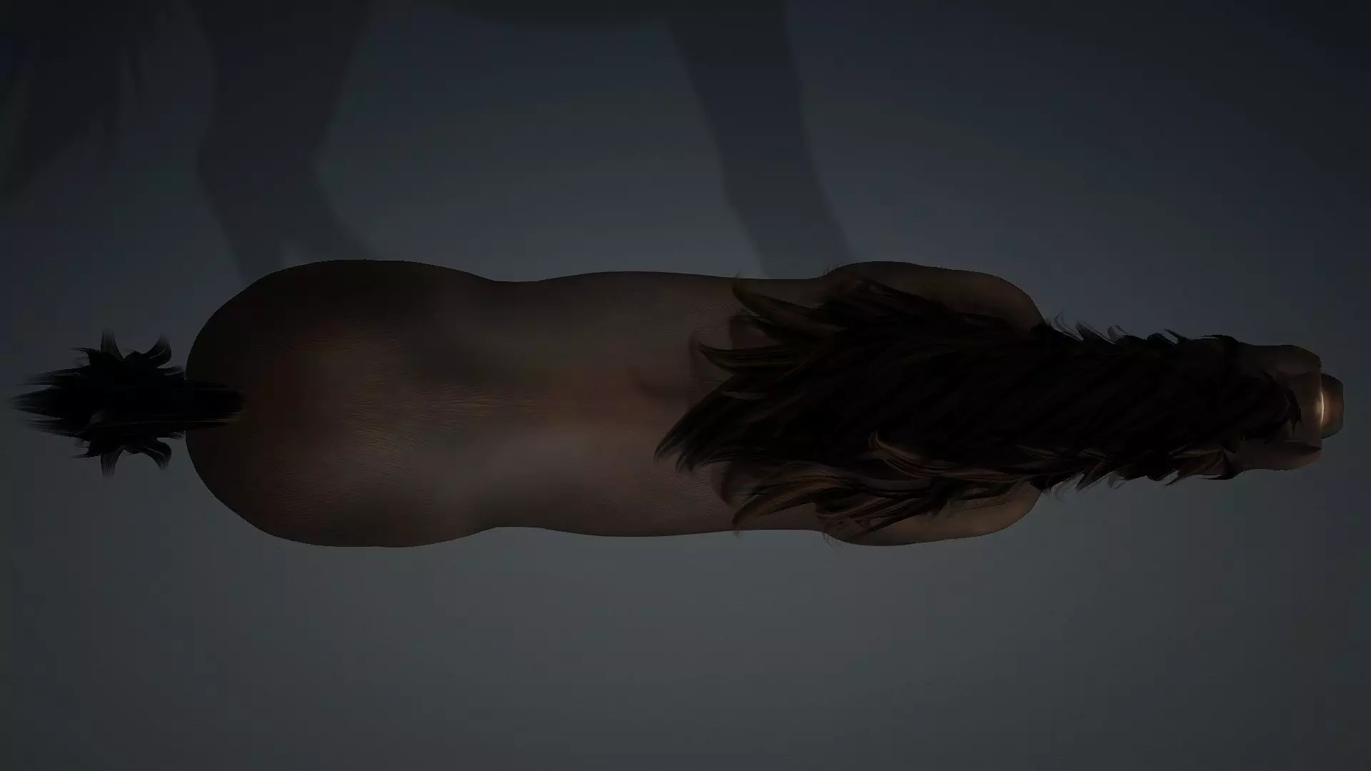 Horse-G2 3D model_13