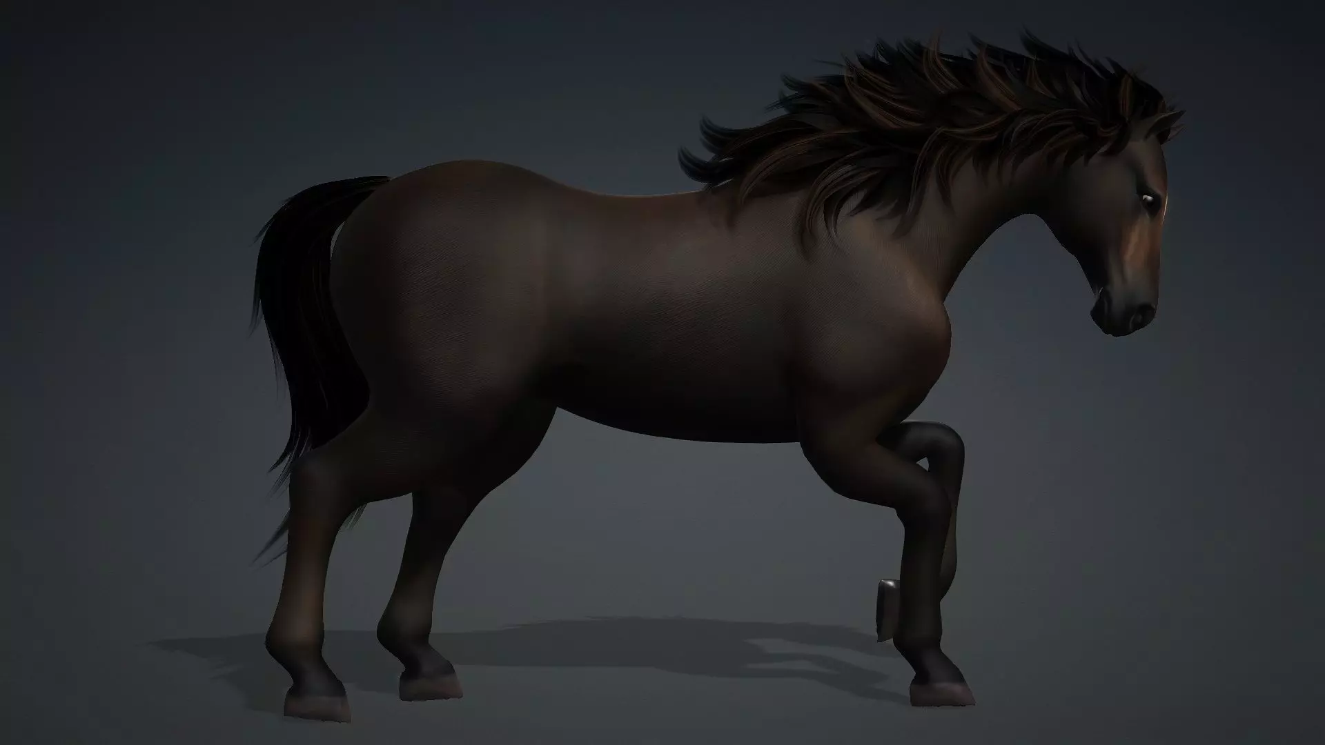 Horse-G2 3D model_5