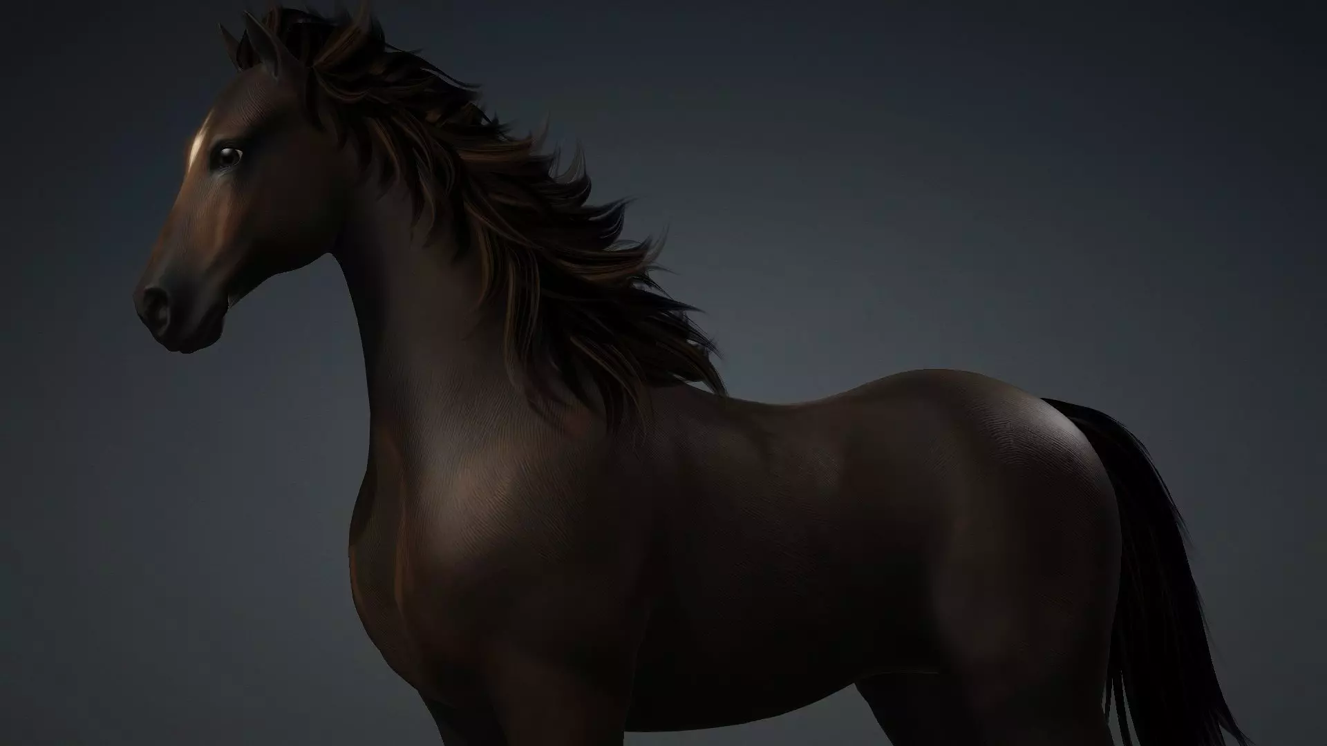 Horse-G2 3D model_12