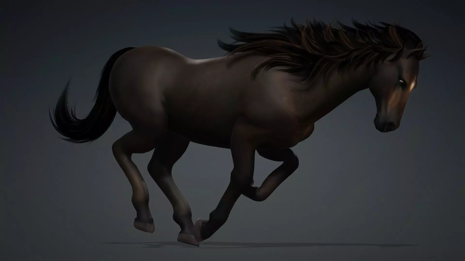 Horse-G2 3D model_17