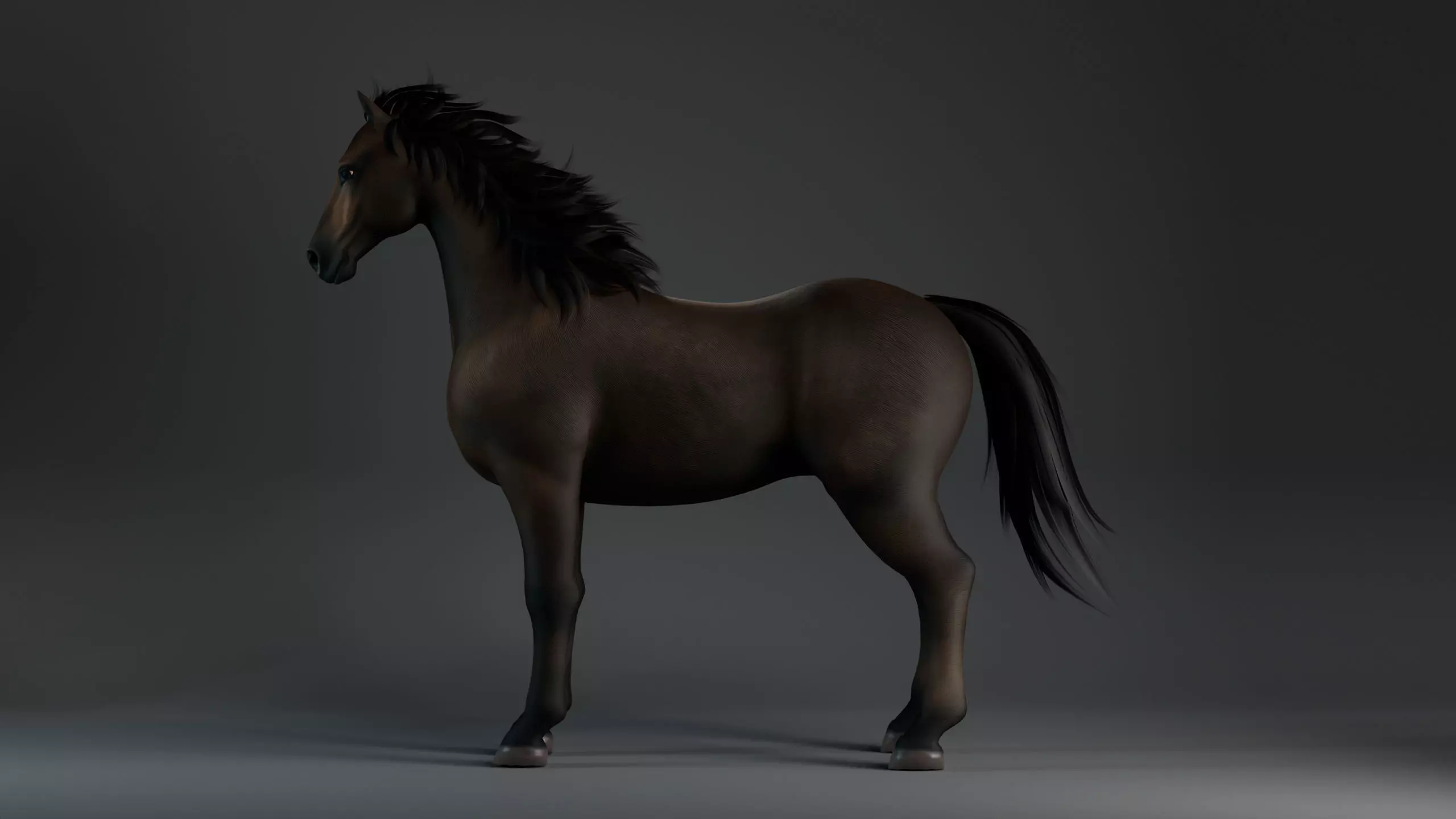 Horse-G2 3D model_2