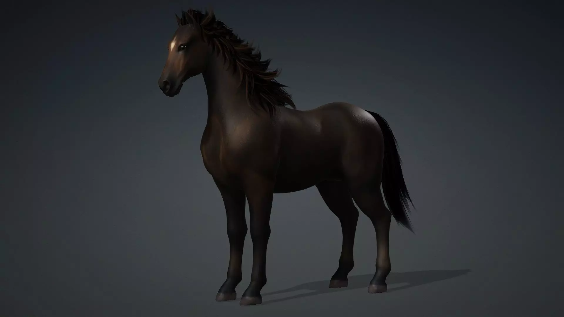 Horse-G2 3D model_10