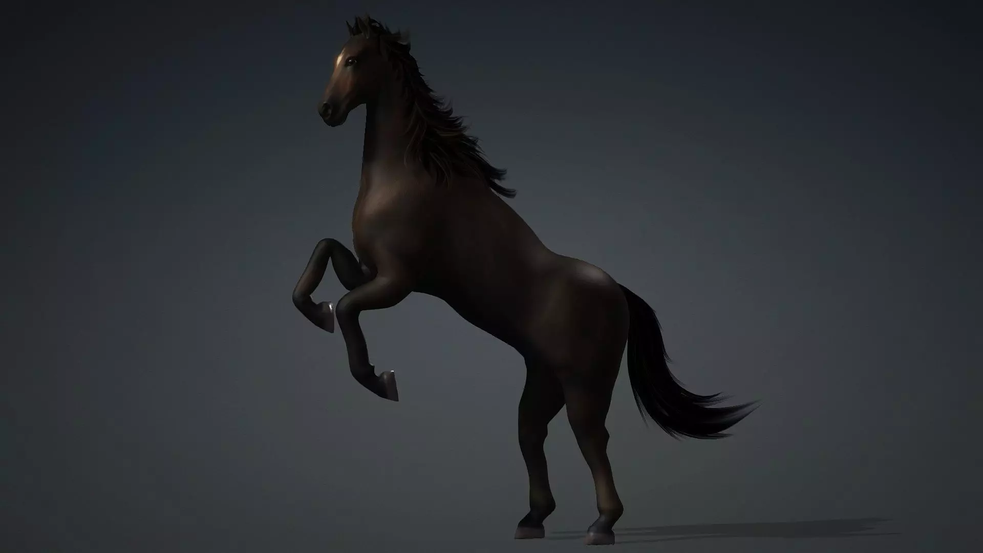 Horse-G2 3D model_7