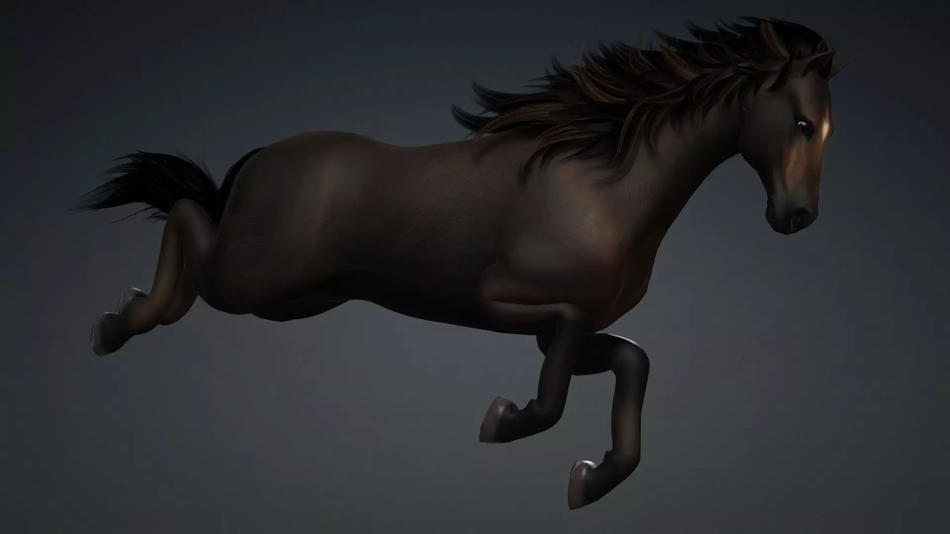 Horse-G2 3D model_16